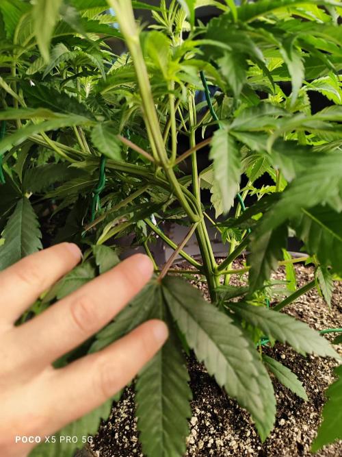 Erntedankfest 1. Week 6