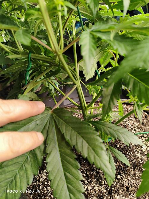 Erntedankfest 1. Week 6