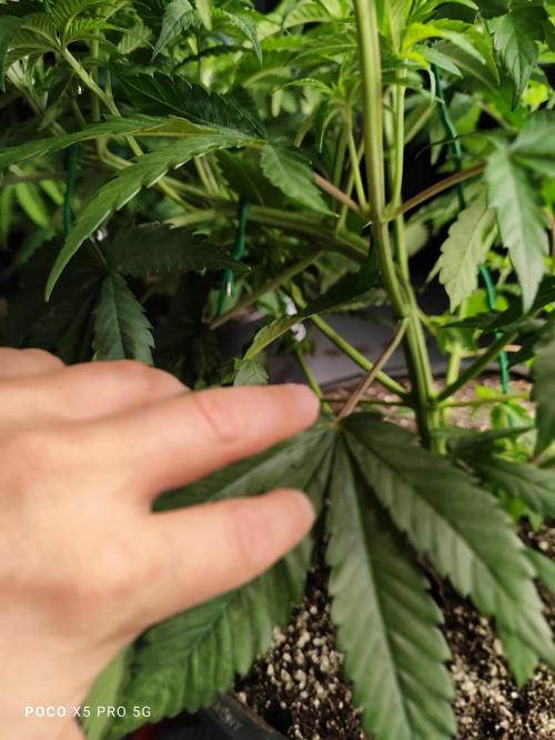 Erntedankfest 1. Week 6