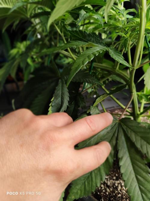 Erntedankfest 1. Week 6