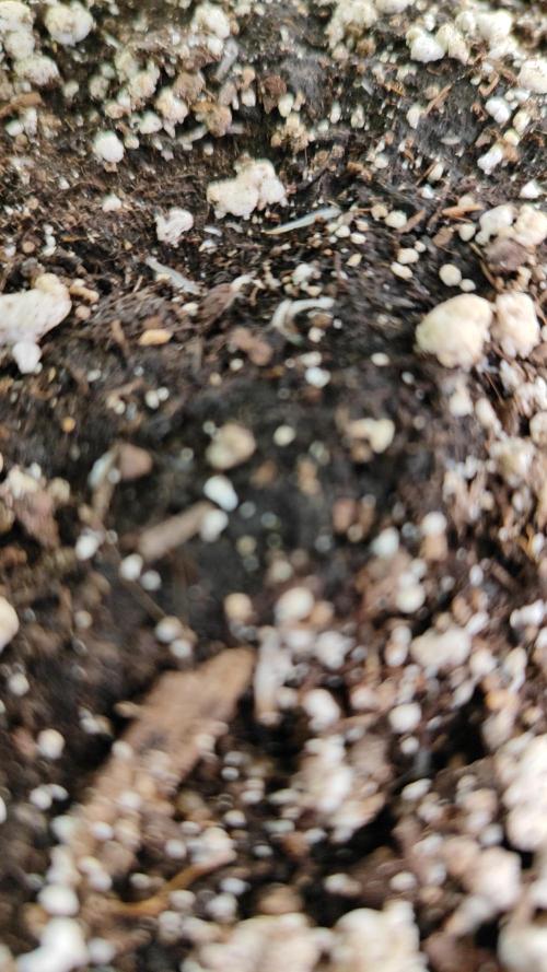 Erntedankfest 1. Week 6