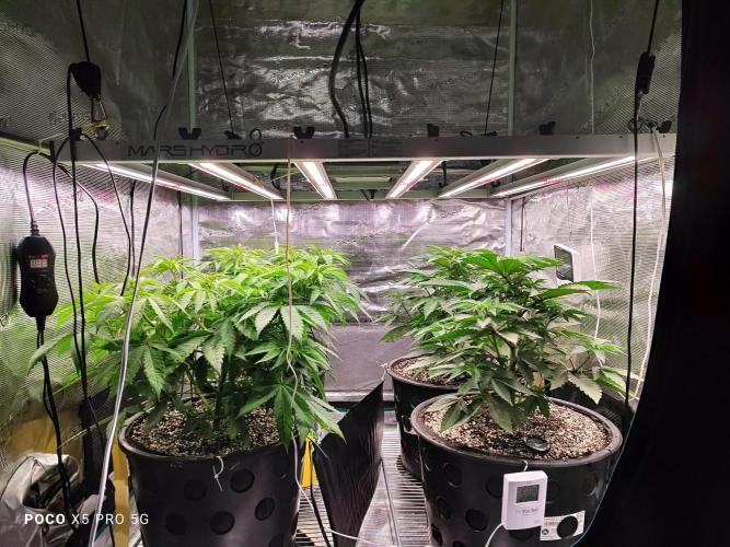 Erntedankfest 1. Week 6