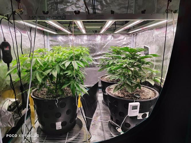 Erntedankfest 1. Week 6