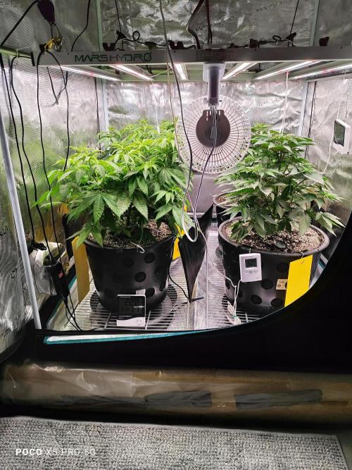 Erntedankfest 1. Week 7
