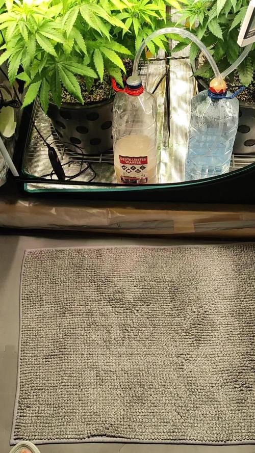 Erntedankfest 1