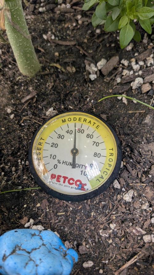 Living soil revolution. Week 7