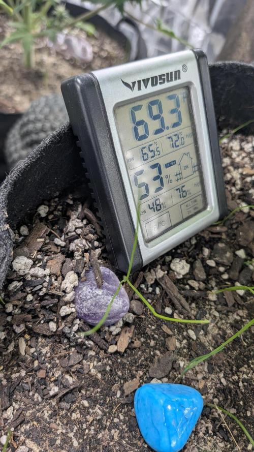 Living soil revolution. Week 7