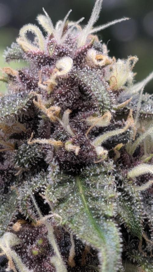 Living soil revolution. Week 8