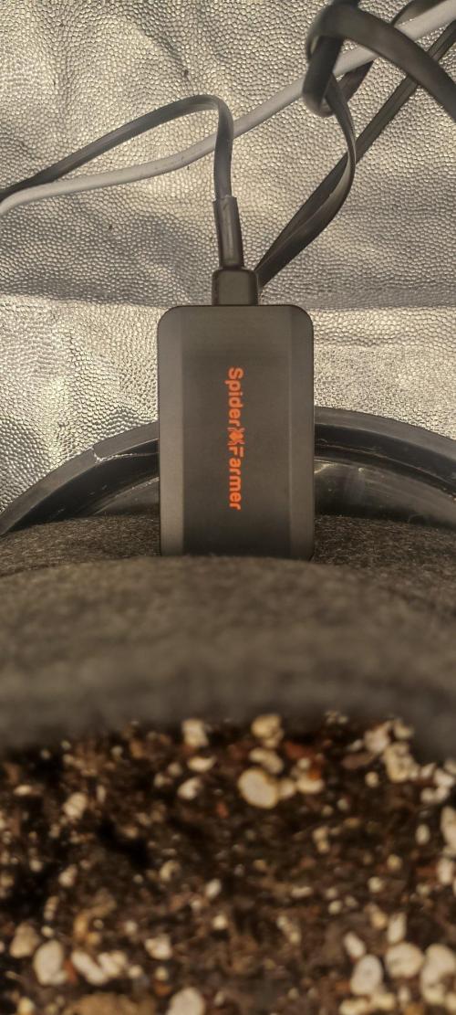 🌱 GrowReport #2 | Frostbanger & Friends. Week 1 - Integrated Spider Farmer Soil meter into system