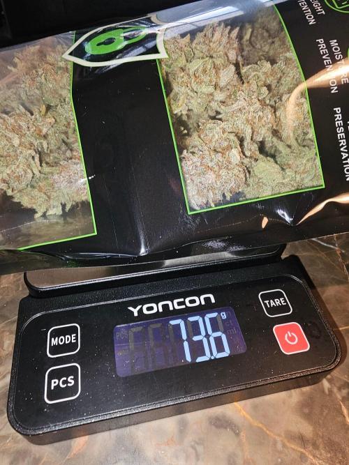 Fastbuds Autos run. Week 12