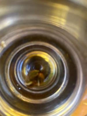 Comment by HirnGulasch photo #1