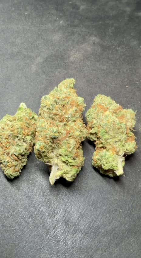 Rainbow Melon, Nectar and Something Good