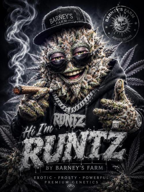 Runtz Auto. Week 1