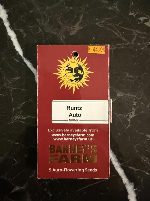 runtz auto ice frozen. Week 0 - Seeds to …..
De Semilla hasta ...

