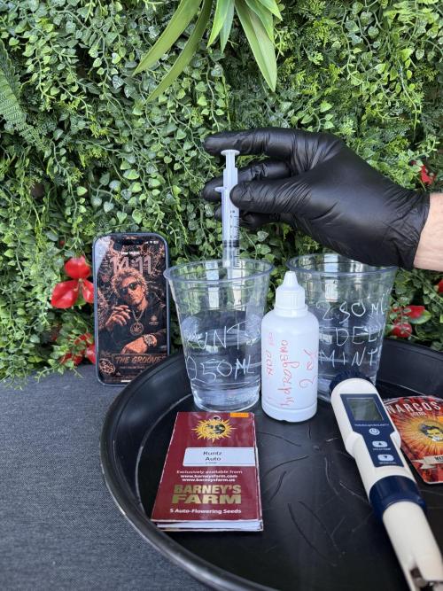 Runtz auto 2. Week 0 - 2ml peroxido 