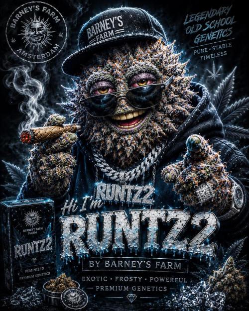 Runtz Auto. Week 0