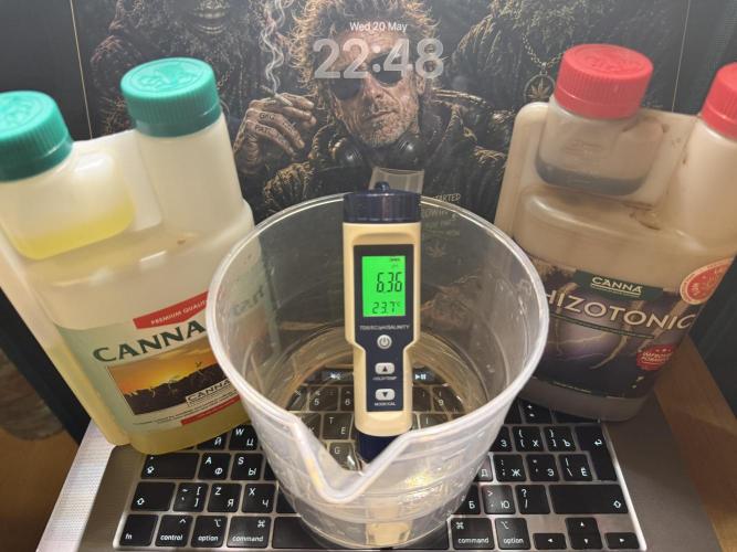 RS11 x Banana OG. Week 1