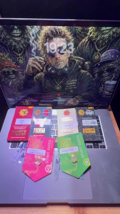 Hasse Grow Box