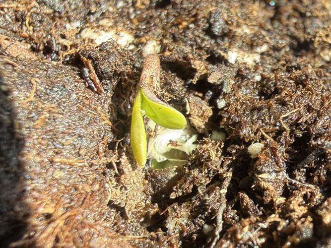 Outdoor experience GG4#. Week 1 - day 1