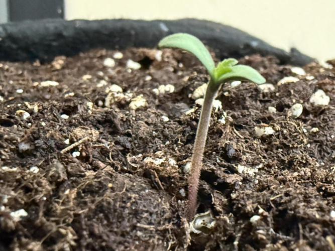 Outdoor experience GG4#. Week 1 - first day
