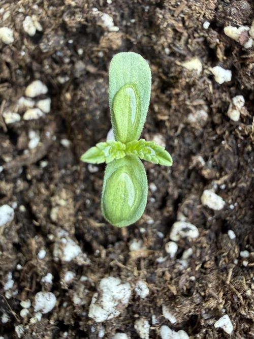 Outdoor experience GG4#. Week 1 - dia 2 fin 