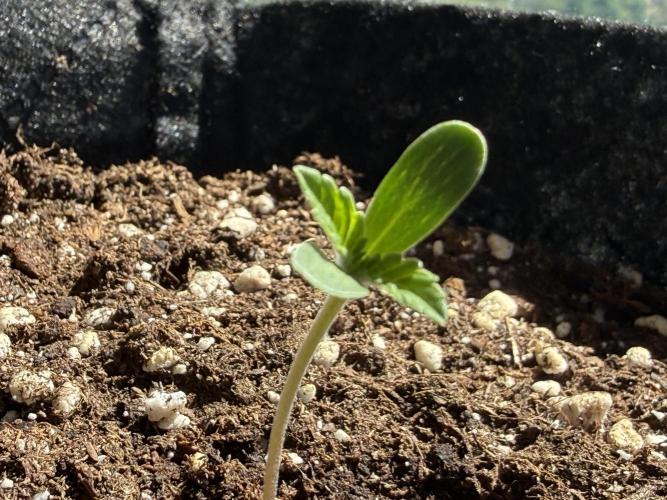 Outdoor experience GG4#. Week 1 - day 3