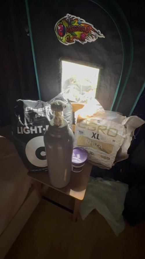 Hasse Grow Box