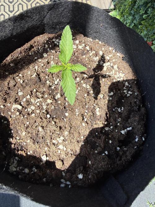 Outdoor experience GG4#. Week 2 - 9 days