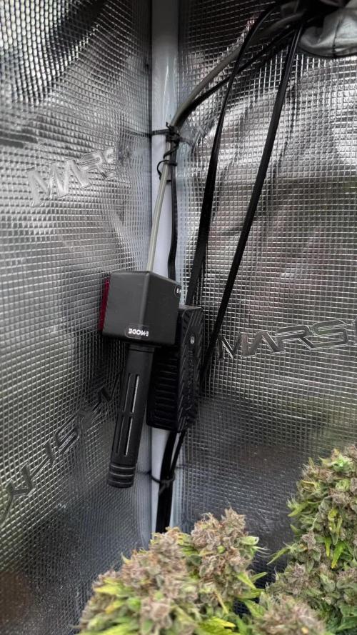 Hasse Grow Box