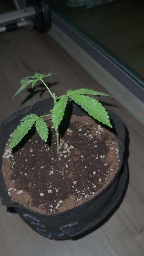 Outdoor experience GG4#