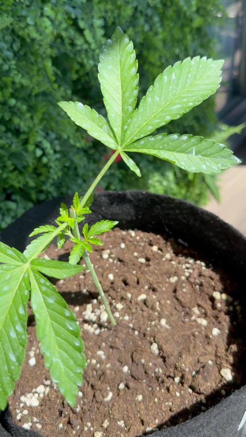 Outdoor experience GG4#