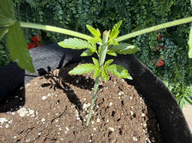 Outdoor experience GG4#. Week 3 - feeding time
