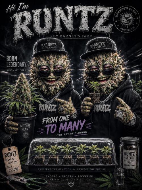 Cloning experience. Week 0 - Bro2Bro