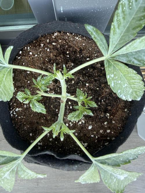 Outdoor experience GG4#. Week 4