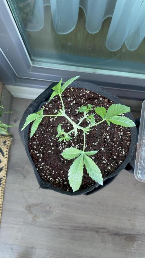 Outdoor experience GG4#