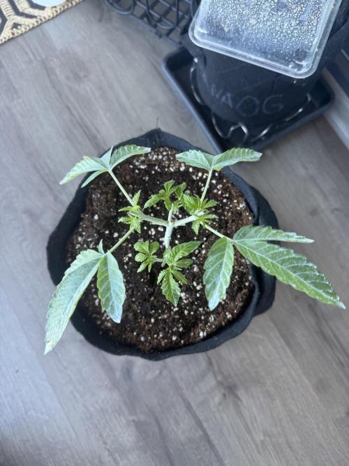 Outdoor experience GG4#. Week 4