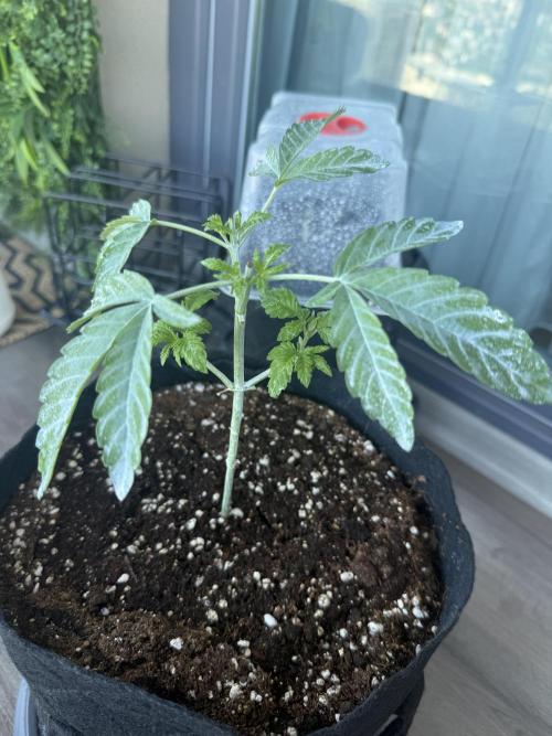 Outdoor experience GG4#. Week 4
