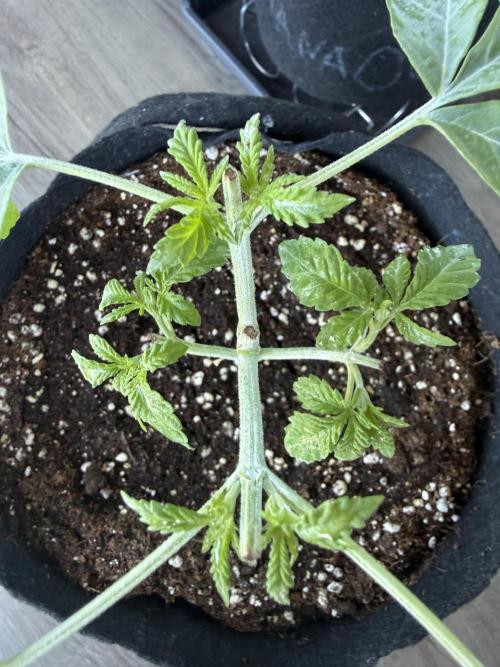 Outdoor experience GG4#. Week 4
