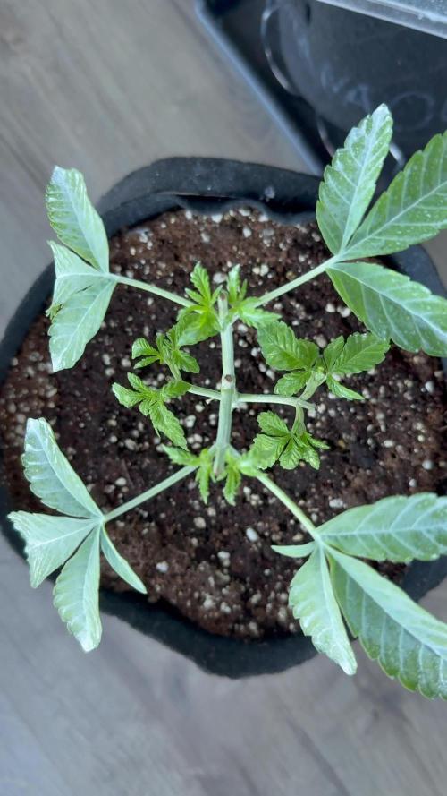 Outdoor experience GG4#