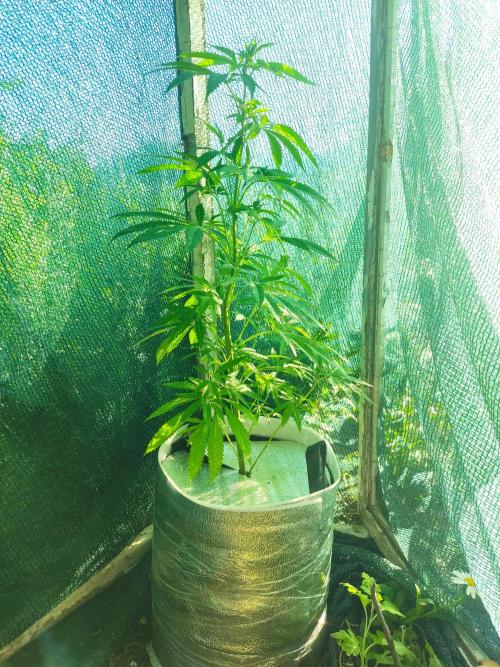 . Week 10