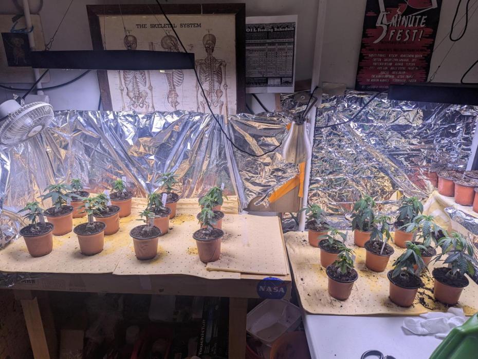 outdoor 2026. Week 8 - April 13th
