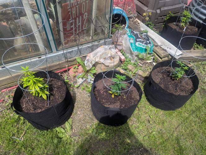 outdoor 2026. Week 12