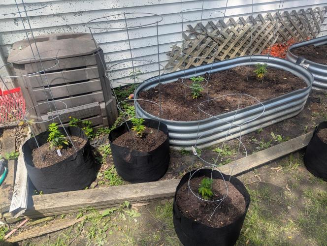 outdoor 2026. Week 12