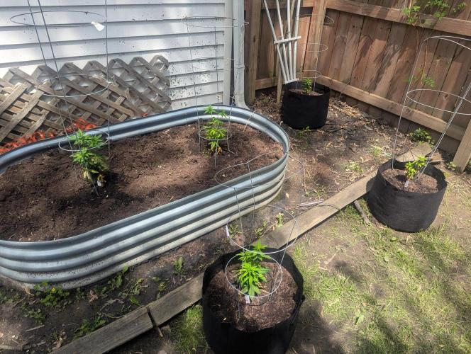 outdoor 2026. Week 12