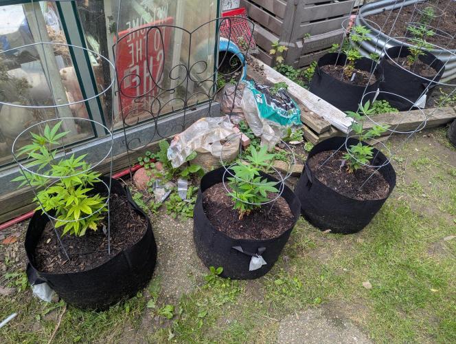 outdoor 2026. Week 14