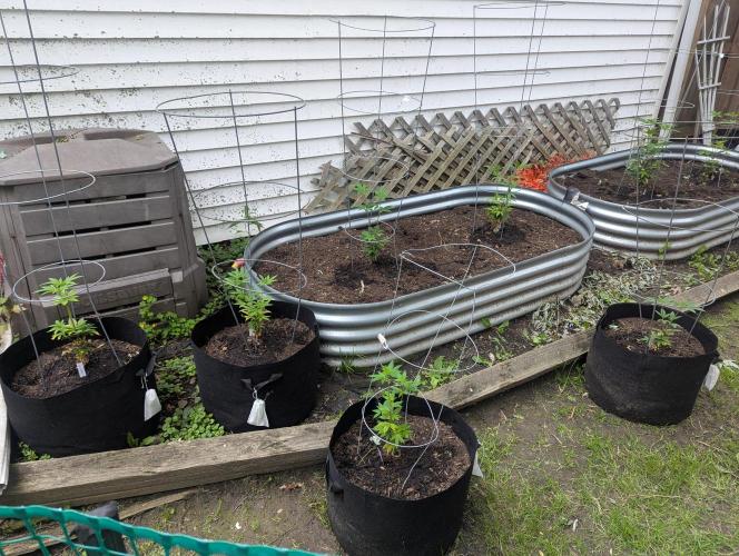 outdoor 2026. Week 14