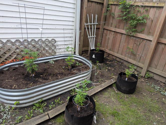 outdoor 2026. Week 14