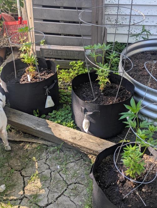 outdoor 2026. Week 15