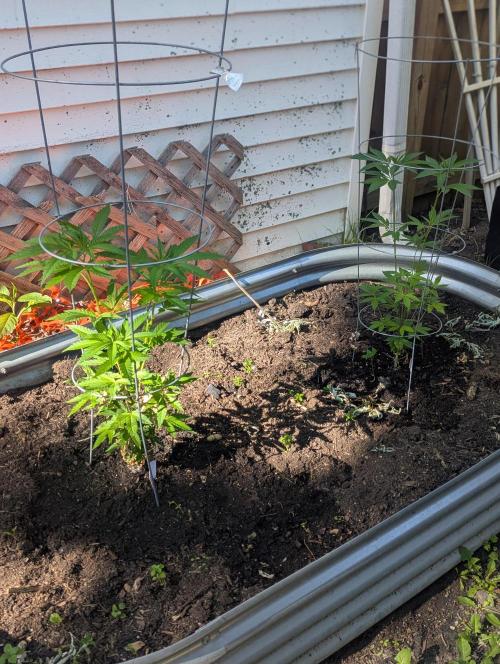 outdoor 2026. Week 15