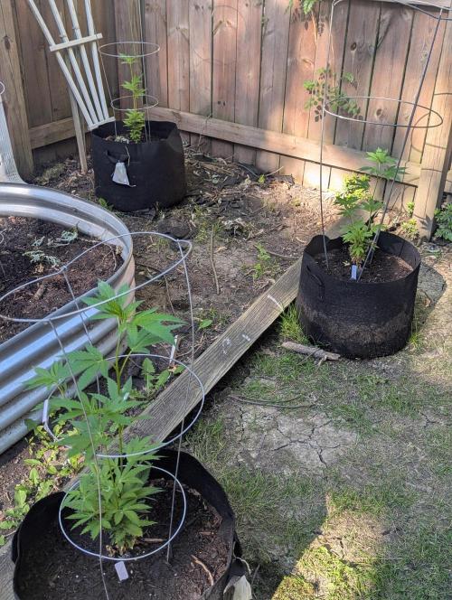 outdoor 2026. Week 15